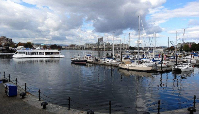 進(jìn)口報關(guān)代理