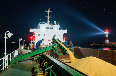 國際貨運代理：海運 / 空運 / 陸運全航線，訂艙到派送一站搞定